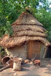 An African Hut Humid Tropics Biome