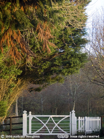 Witchampton,Gate,Gateway,Gatehouse