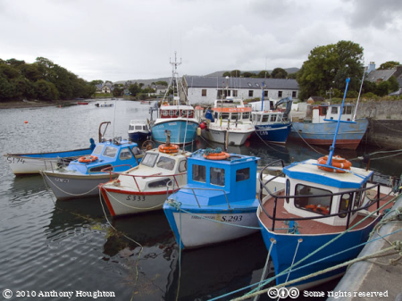 Fishing Boats,Castletownbere,Beara Peninsula