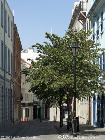 Irish Town,Buildings