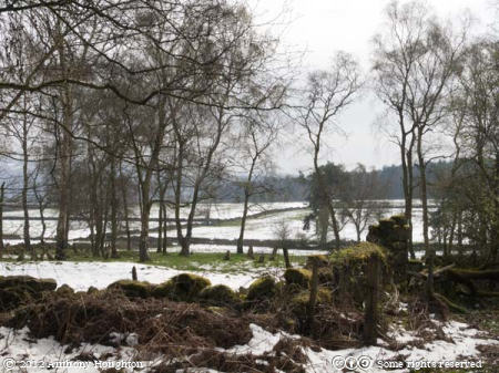 Black Rocks,Middleton by Wirksworth
