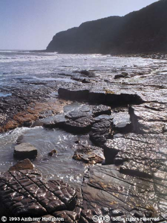 Kimmeridge,Beach,Rocks,Ledges