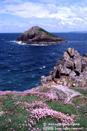 The Moules,The Rumps,Pentire Point,Padstow,Cliffs,Island