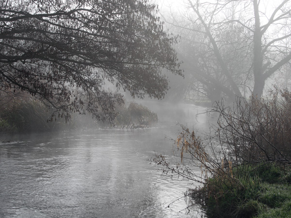 River Allen,Wimborne