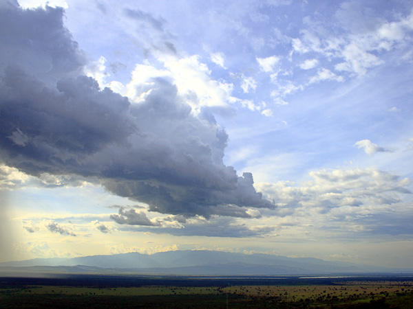 QENP,Queen Elizabeth National Park