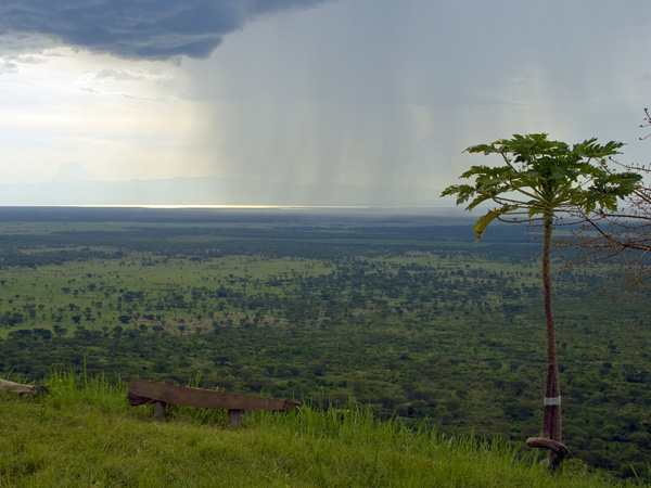 QENP,Queen Elizabeth National Park