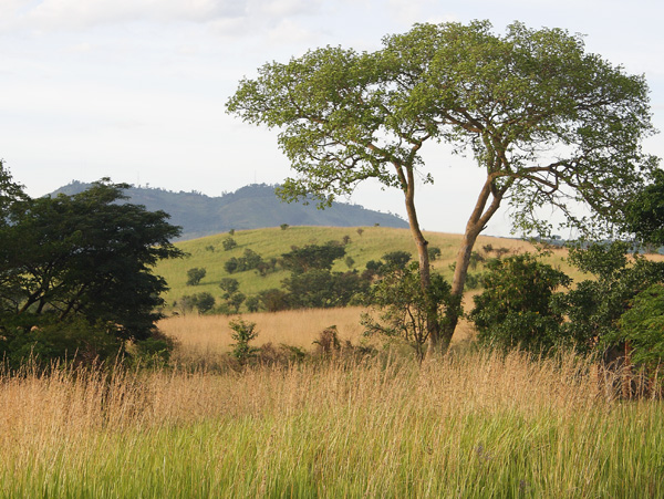 Kyambura,QENP,Queen Elizabeth National Park