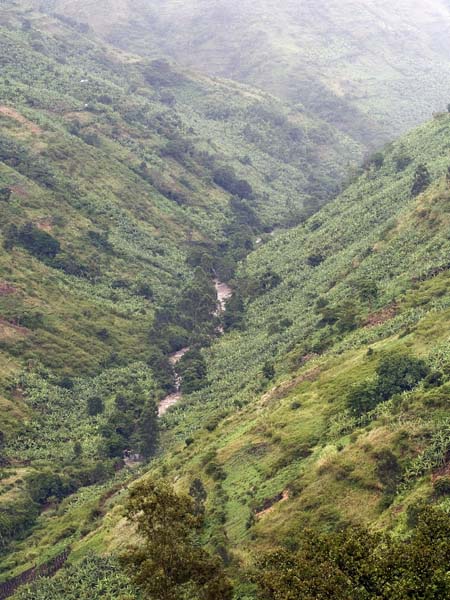 Ntungamo,Birira Valley