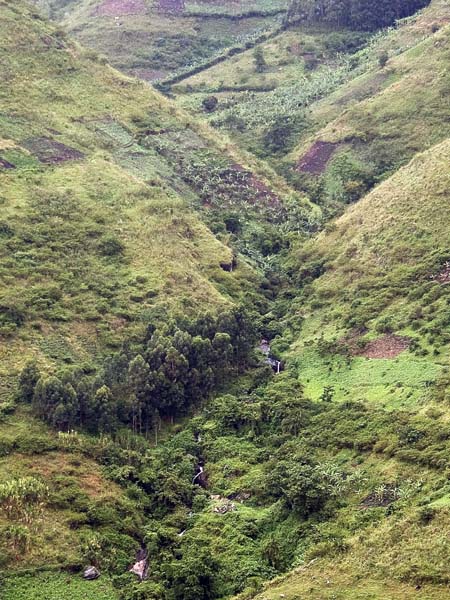 Ntungamo,Birira Valley
