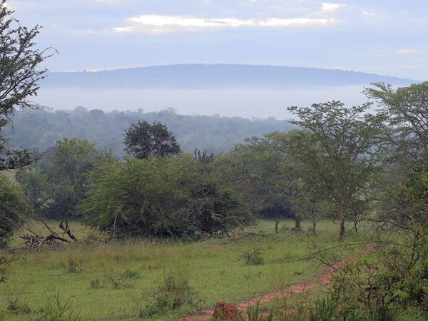 Dawn Mist,Lake Mburo National Park