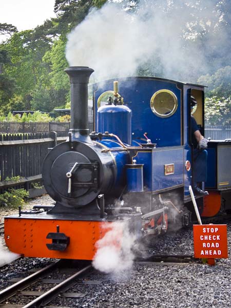 Exbury Gardens Railway,Steam,Trains,Engine,Locomotive,Narrow Gauge,Miniature