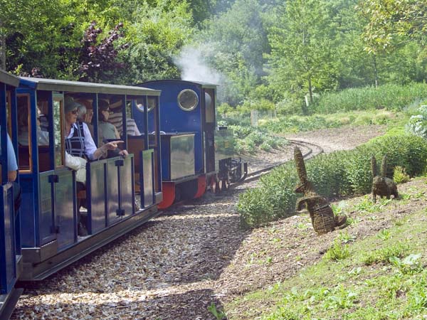 Rabbits,Exbury Gardens