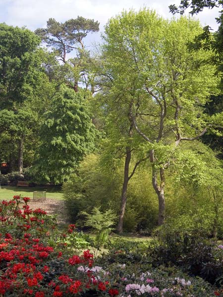 Exbury Gardens