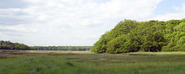 Beaulieu River,Exbury Gardens