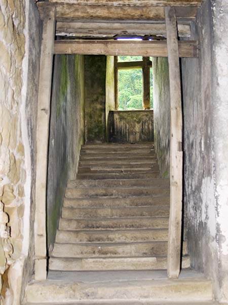 Staircase,Hardwick Old Hall