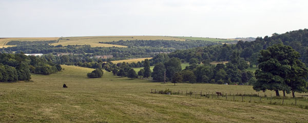 Falmer,Brighton
