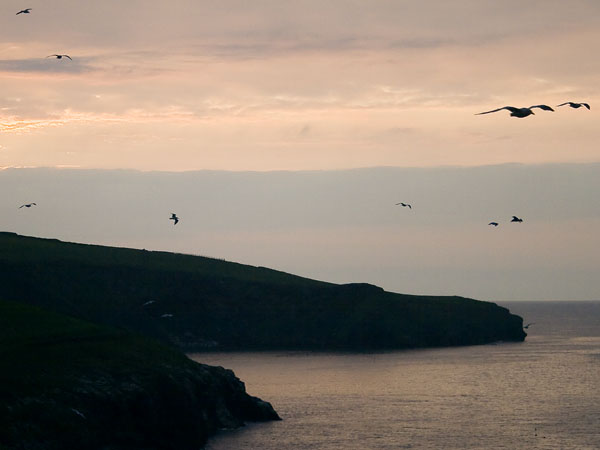 Sunset,Sky,Port Isaac