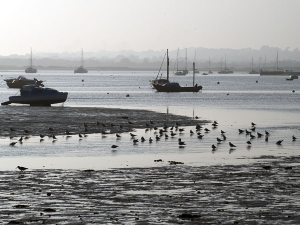 Christchurch Harbour,Mudeford