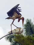 Marabou Stork Kampala