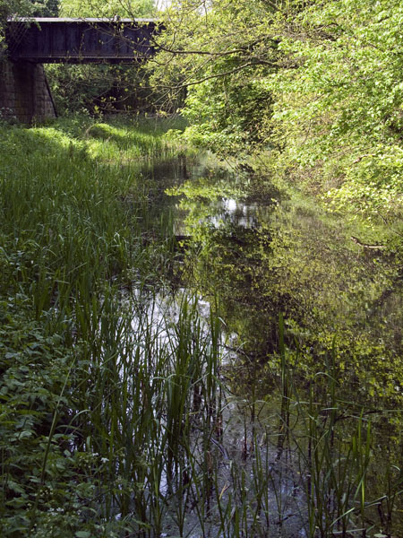 Cromford Canal,Bridge