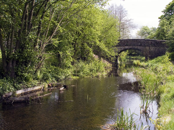 Cromford Canal,Bridge