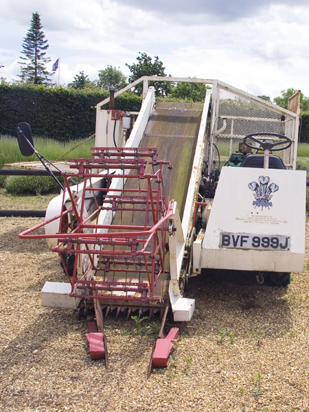 Cutter,Harvester,Norfolk Lavender,Farm