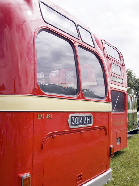 Buses