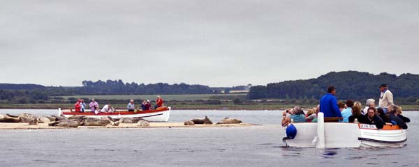 Boats,Seals,Blakeney Point