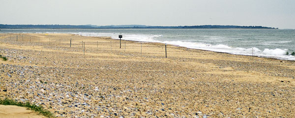 Sea,Blakeney Point