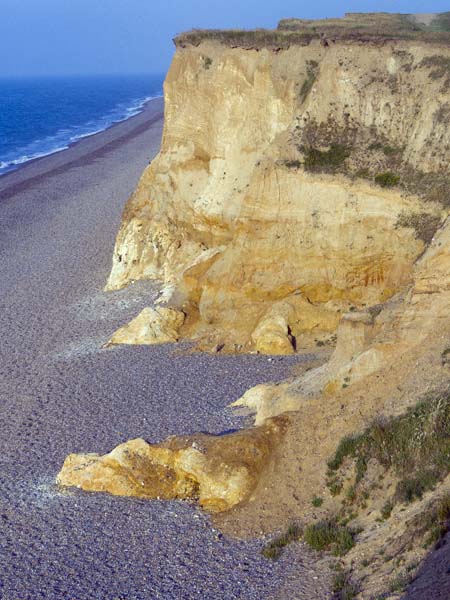 Cliffs,Weybourne Hope