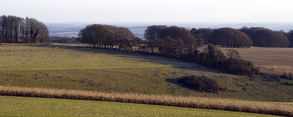 Winkelbury,Winklebury
