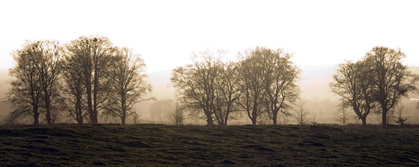 Badbury Avenue,Wimborne