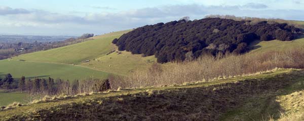 Hod Hill,Iron Age,Hill Fort,Stourpaine