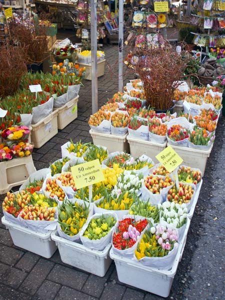 Stall,Bloemenmarkt,Singel,Flowers,Amsterdam