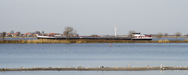 Het IJ,IJberg,Boat,Amsterdam