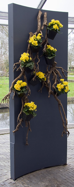 Willem Alexander Pavillion,Keukenhof,Flower Arrangement