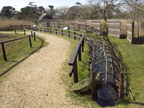 Duck Decoy,Abbotsbury Swannery