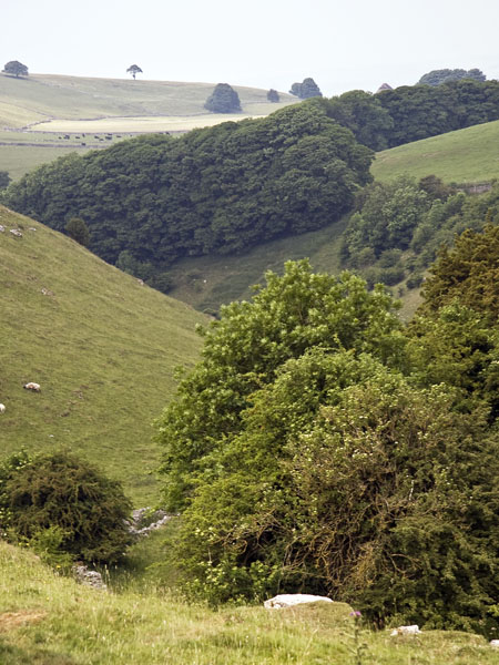 Dalehead,Biggin