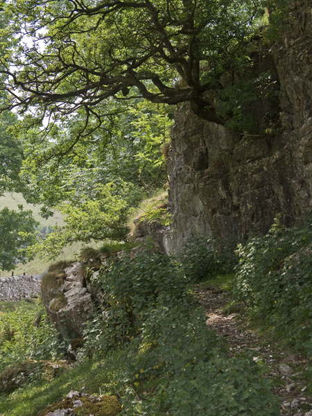 Biggin Dale,Rocks