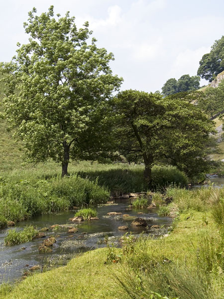 Wolfscote Dale,River,Stream