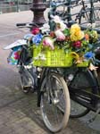 Flowery Bike