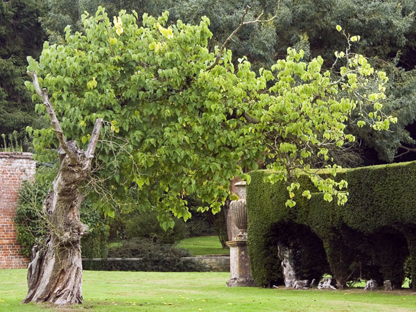 Gardens,Breamore House,Stately Home