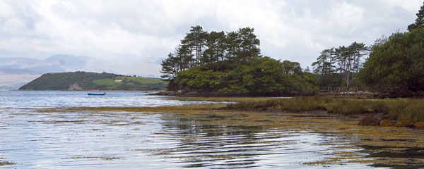 Island,Battle Point,Derreen Gardens,Lauragh,Beara Peninsula