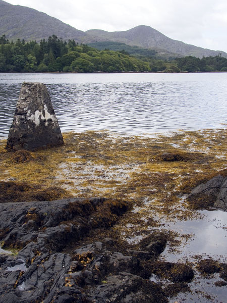 Keecraigh Mountain,Sea,Derreen Gardens,Lauragh,Beara Peninsula