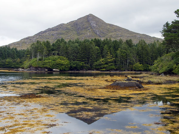 Knockatee Mountain,Dereen Gardens,Lauragh,Beara Peninsula
