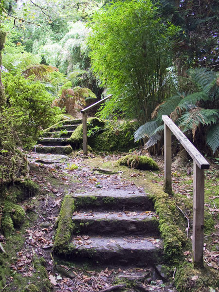 Steps,Kings Oozy,Derreen Gardens,Lauragh,Beara Peninsula
