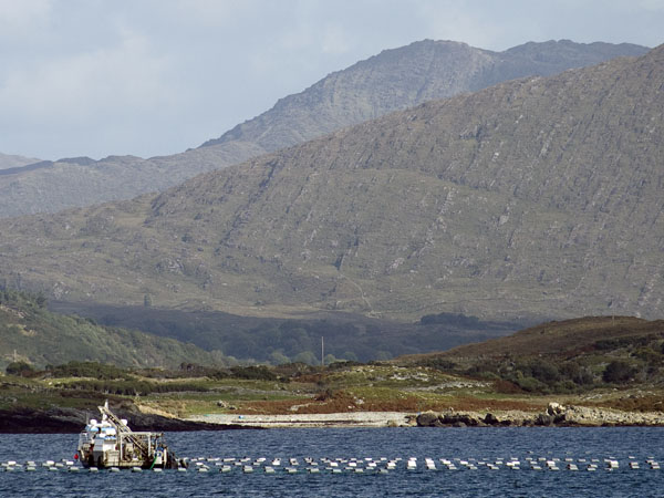 Mussel Boat,Pulleen Loop,Beara Peninsula,Sea