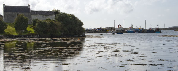Ballycrovane Harbour,Beara Peninsula