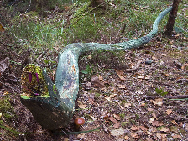 Wooden Snake,Sculpture,Artwork,Gleninchaquin Park,Beara Peninsula