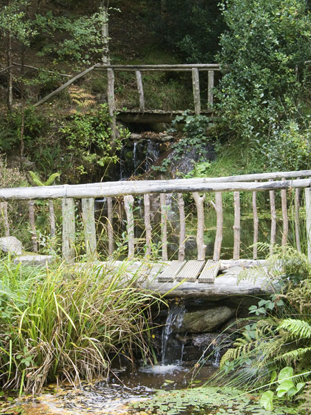Water Garden,Gleninchaquin Park,Beara Peninsula